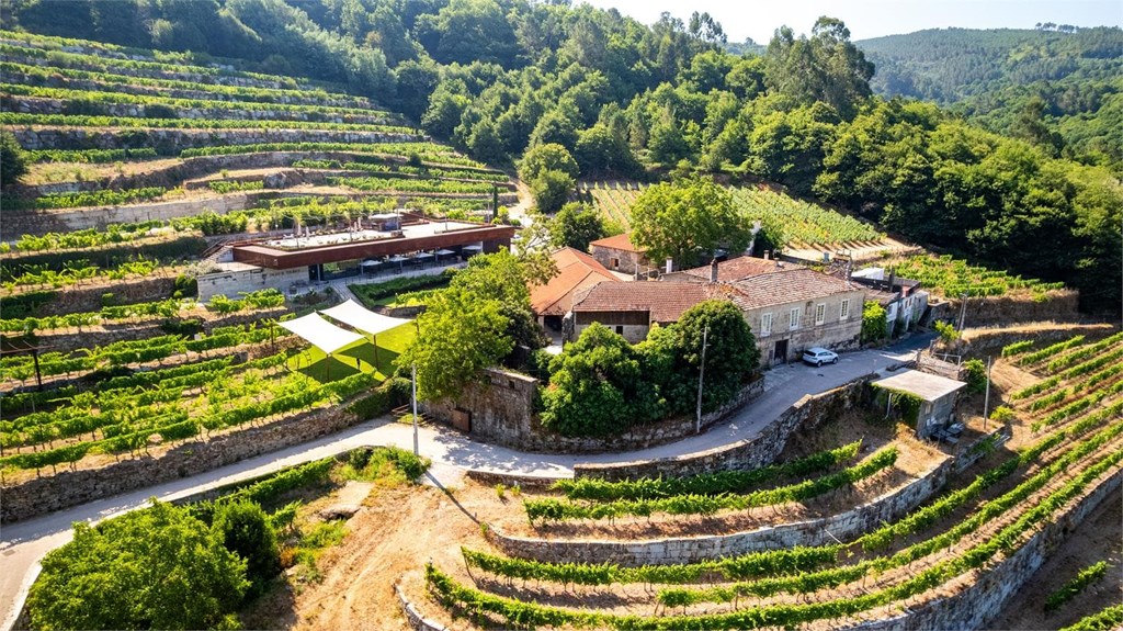 6 cosas que nadie te cuenta sobre la arquitectura de una bodega funcional