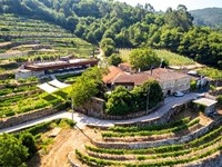 6 cosas que nadie te cuenta sobre la arquitectura de una bodega funcional