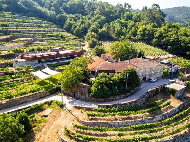6 cosas que nadie te cuenta sobre la arquitectura de una bodega funcional