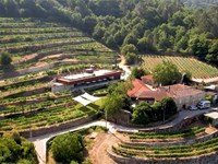 El papel de la arquitectura en una bodega